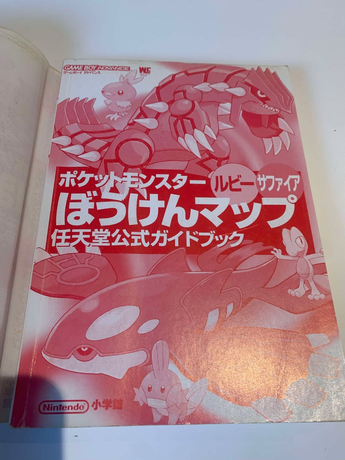 Pokemon Ruby & Sapphire Adventure Map Guide Book Japanese Nintendo GBA Official