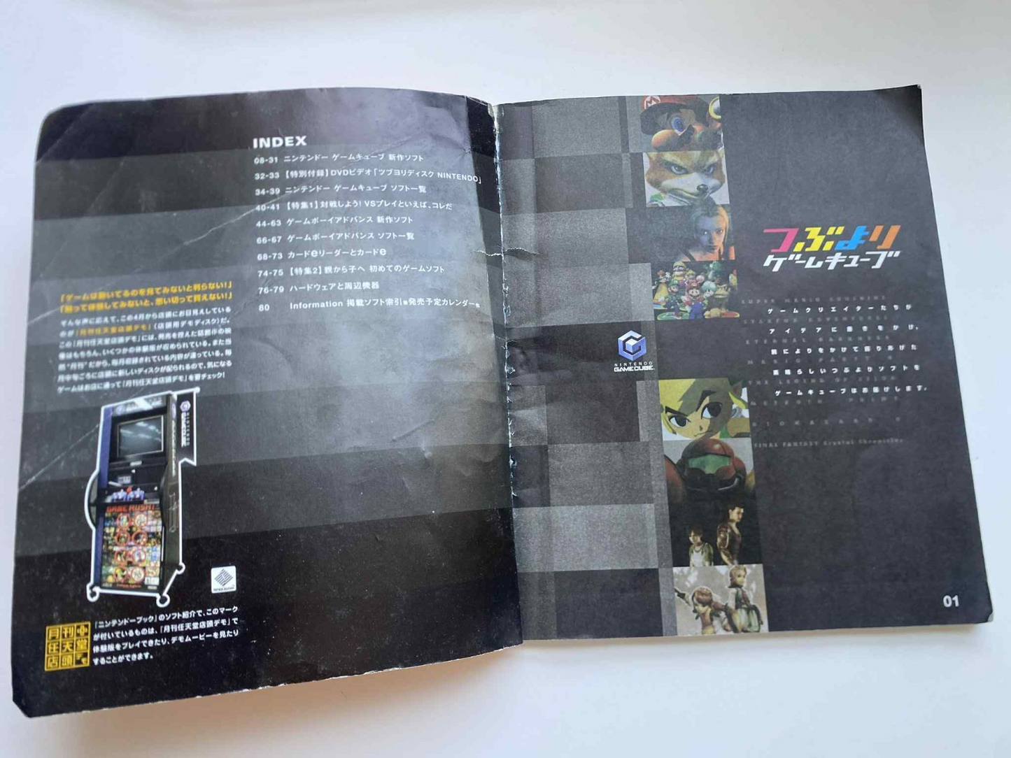 Nintendo Book (Autumn 2002) No DVD Japanese Brochure GameBoy GameCube Advert Art