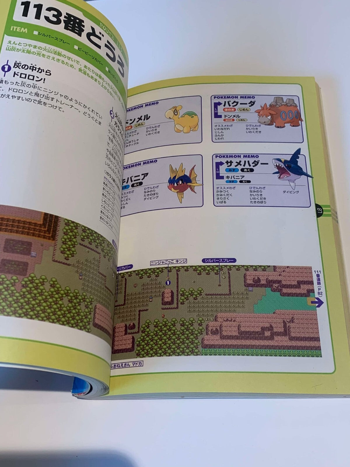 Pokemon Ruby & Sapphire Adventure Map Guide Book Japanese Nintendo GBA Official
