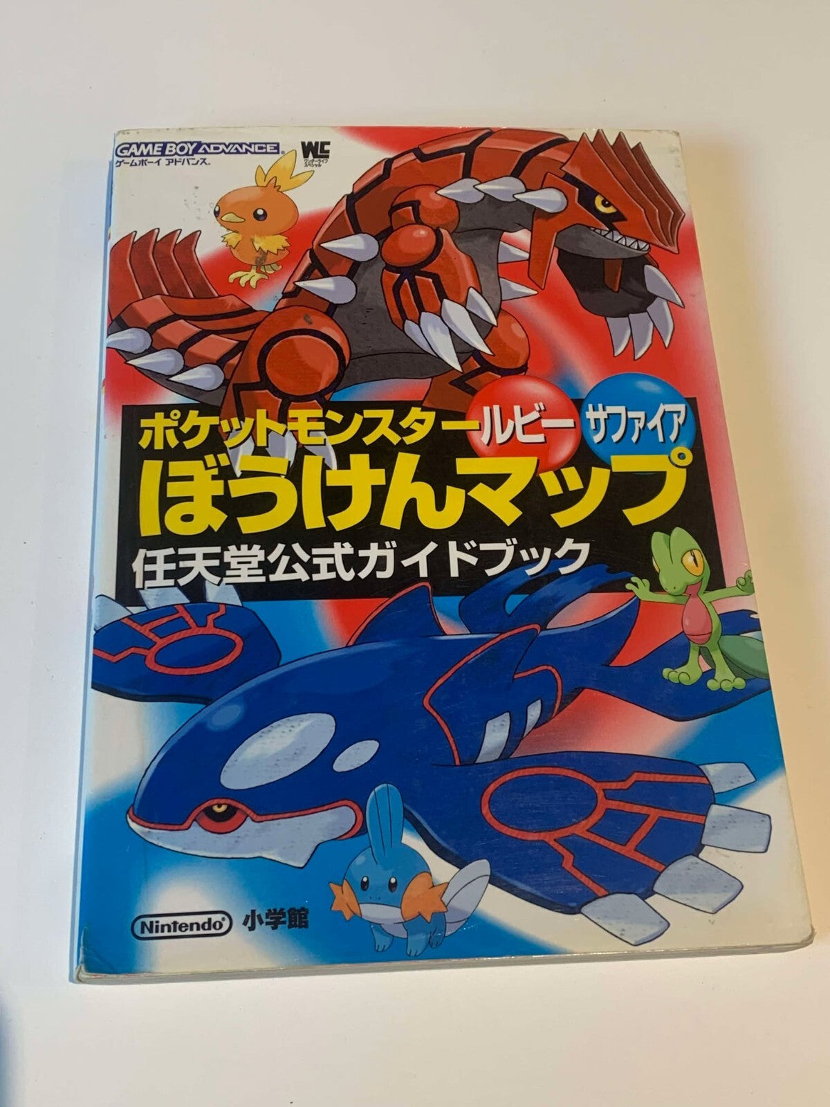 Pokemon Ruby & Sapphire Adventure Map Guide Book Japanese Nintendo GBA Official