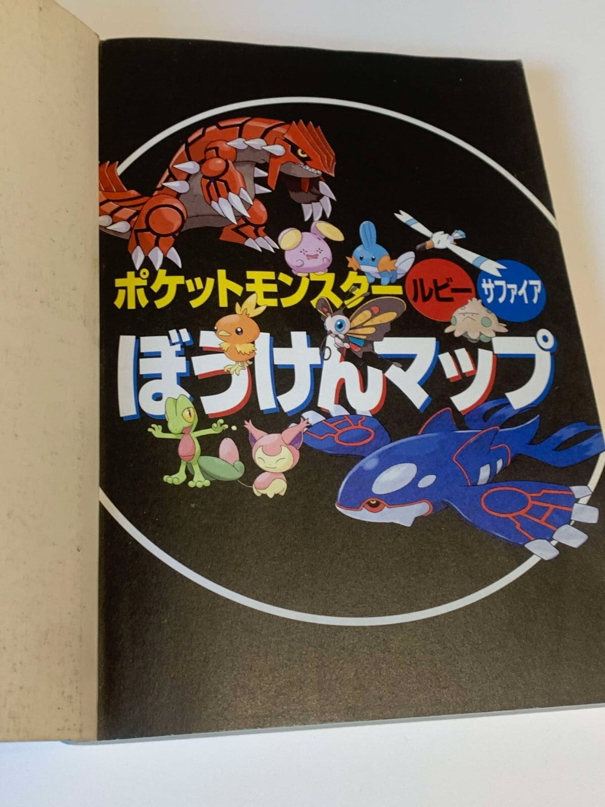 Pokemon Ruby & Sapphire Adventure Map Guide Book Japanese Nintendo GBA Official