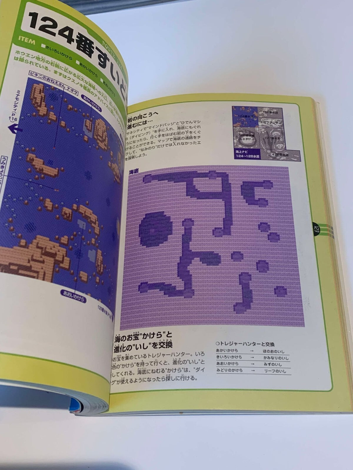 Pokemon Ruby & Sapphire Adventure Map Guide Book Japanese Nintendo GBA Official
